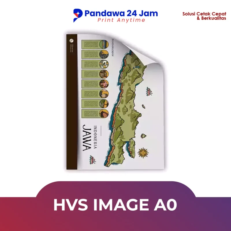 HVS Image A0