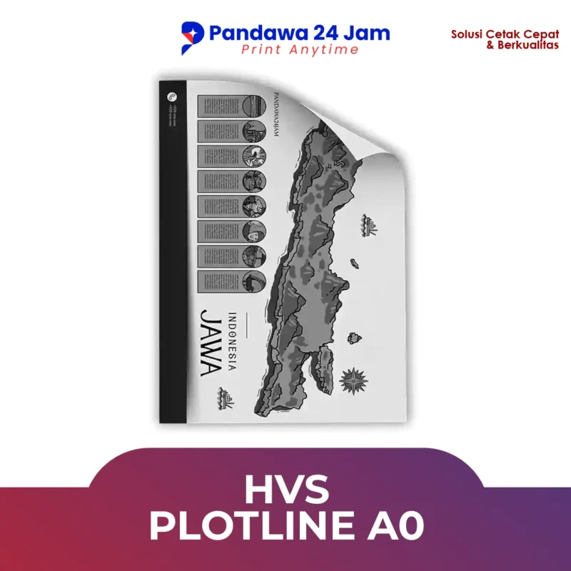HVS Plotline A0